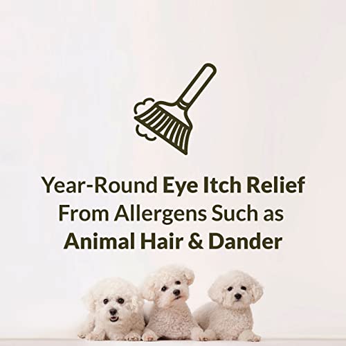 Alaway Allergy Eye Itch Relief Drops - 2 Pack