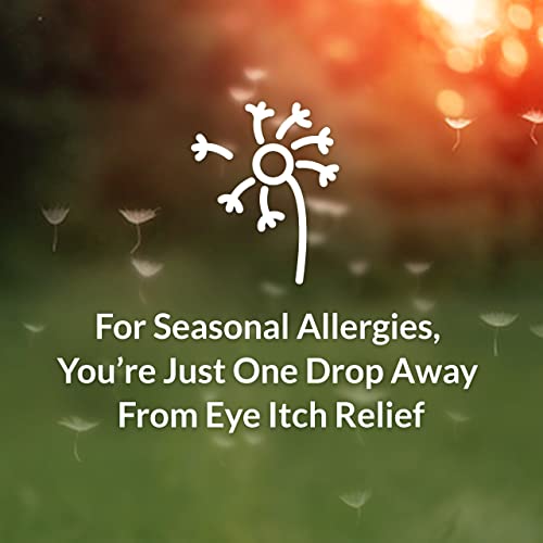 Alaway Allergy Eye Itch Relief Drops - 2 Pack