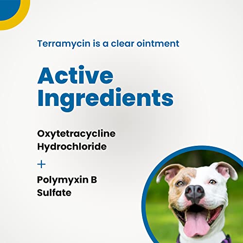 Terramycin Eye Infection Ointment for Pets & Livestock