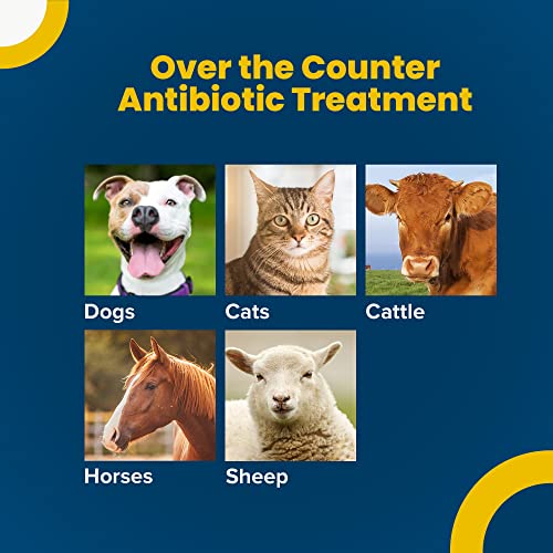 Terramycin Eye Infection Ointment for Pets & Livestock