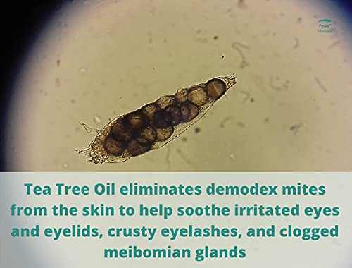 Tea Tree Eyelid Wipes - Hypoallergenic Exfoliating Scrubs