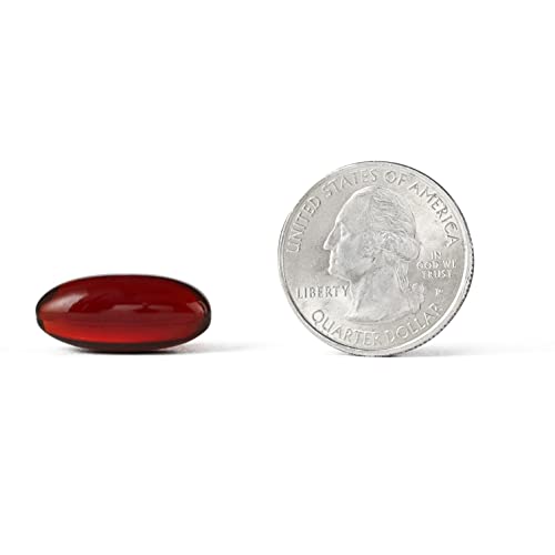 Krill and Fish Oil Supplement - 40 Softgels