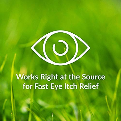 Alaway Allergy Eye Drops, Preservative Free Antihistamine Eye Drop for up to 12 Hours of Dry Eye and Eye Itch Relief, 20 Single-Dose Vials (Pack of 2)