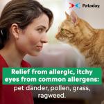 Alcon's Pataday Eye Drops for Allergy Relief