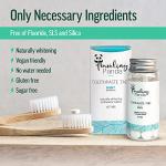 Traveling Panda Charcoal Toothpaste Tablets - 60 Vegan Mint