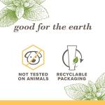 Natural Fluoride-Free Zen Peppermint Toothpaste Trio