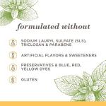 Natural Fluoride-Free Zen Peppermint Toothpaste Trio