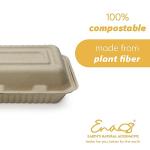 Compostable Disposable Food Containers with Lids - 500 Pack