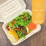 Compostable Disposable Food Containers with Lids - 500 Pack