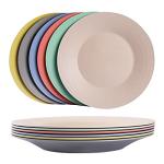 Eco-Friendly 10" Wheat Straw Plates – 6 Pack