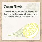 Lemon Fresh Eco-Friendly Tub & Tile Cleaner