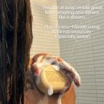 Eco-Friendly Body Wash Bar - 2 Pack