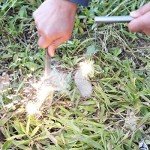 Ferrocerium Fire Starter Kit with Paracord Handle