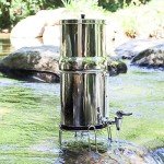 Gravity-Fed Water Filter System with Carbon Filters