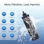 Gravity-Fed Water Filter System with Carbon Filters