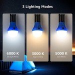 Lepro 4-Pack LED Camping Lanterns with Clips