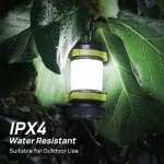 Rechargeable LED Lantern Flashlight 2-Pack for Emergencies