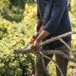 Fiskars Folding Hand Saw with Power Tooth Blade