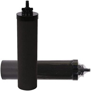 2-Pack Black Water Filters for Emergency Preparedness
