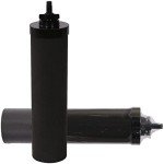 2-Pack Black Water Filters for Emergency Preparedness