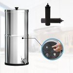 2-Pack Black Water Filters for Emergency Preparedness