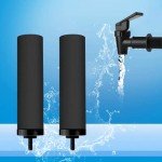 2-Pack Black Water Filters for Emergency Preparedness