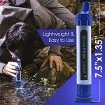 Water Filter Straw - 2 Pack Survival Essential