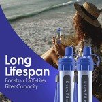 Water Filter Straw - 2 Pack Survival Essential