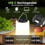 Rechargeable LED Lantern for Hurricane Emergency Kits