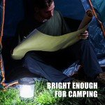 Bright LED Lantern for Hurricane Emergency Kits