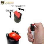 Personal Safety Kit: Stun Gun, Alarm & Spray