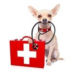 Dog Doctor Wall Decal – Peel and Stick Decor