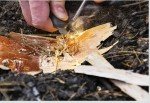 Teal Skyes Ultimate Fire Starter Survival Kit