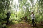 Adjustable Aluminum Trekking Poles with Cork Grip