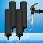 4-Pack Black Water Filters for Emergency Kits