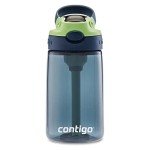Contigo AUTOSPOUT 14oz Water Bottles - Blueberry