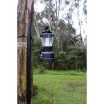 Coleman Rugged Personal Size LED Lantern