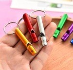 100-Piece Emergency Whistle Keychain Survival Kit