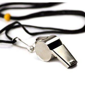 Stainless Steel Whistle with Lanyard for Emergencies