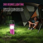 Lichamp 4-Pack Super Bright LED Lanterns