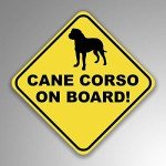 Cane Corso Vinyl Decal Stickers - 2-Pack