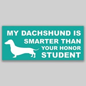 Hurricane Safety Decal Sticker - 2 Pack
