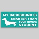Hurricane Safety Decal Sticker - 2 Pack