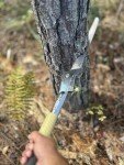 WEYLAND 20" Folding Saw for Camping and Survival