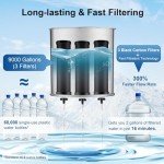 Gravity Water Filter System with 6 Filters