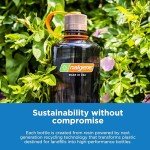 32 OZ BPA-Free Water Bottle - Eco-Friendly Gray