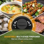 Portable 2-Burner Propane Camp Stove with Carry Bag