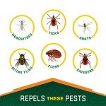 Repel 100 Insect Repellent Spray, 4 oz