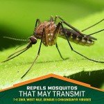 Repel 100 Insect Repellent Spray, 4 oz