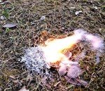 Magnesium Fire Starter Kit with Weatherproof Matches